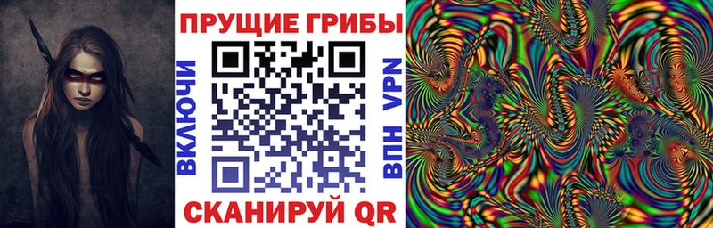 Купить закладки  Крымск  Галлюциногенные грибы прущие грибы 